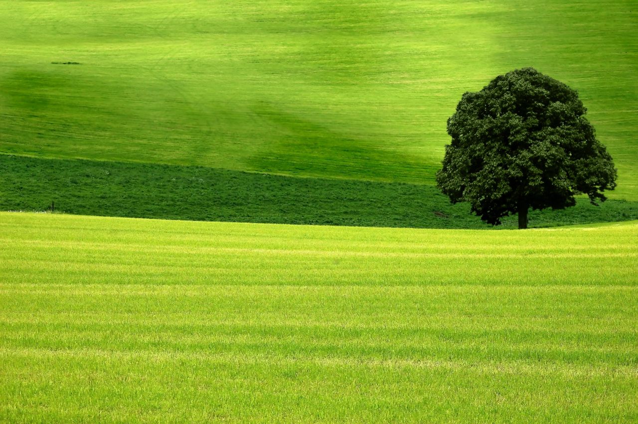 [Veille] Biodiversité : consultation publique sur un projet d’arrêté fixant la liste, les périodes et les modalités de destruction des espèces susceptibles d’occasionner des dégâts