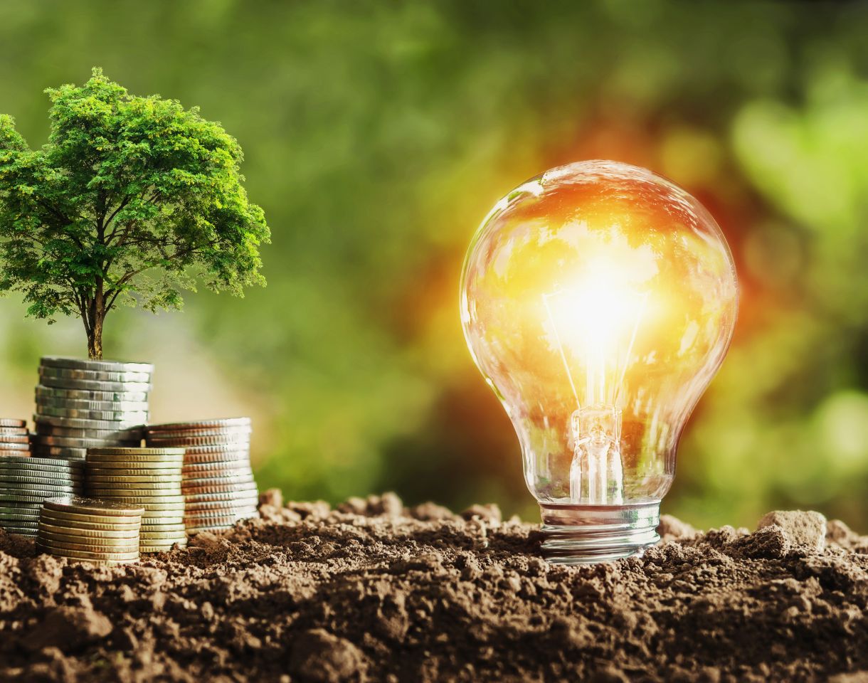 PPA – Vente directe d’électricité par les producteurs : publication du décret du 27 juin 2024 relatif à l’autorisation de fourniture d’électricité