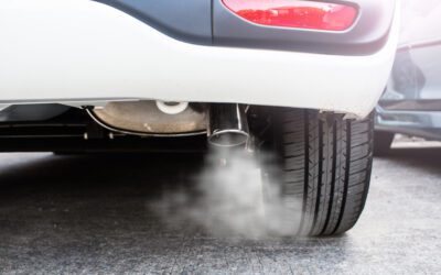 Diesel gate : l’obligation de délivrance conforme de la chose vendue doit être interprétée à la lumière des articles 1er et 2 de la Charte de l’environnement (Cour de cassation)