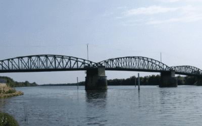 Dérogation espèces protégées : qu’est ce qu’une « solution alternative satisfaisante » ? (Conseil d’Etat, 21 novembre 2025, Association Bien vivre à Replonges, n°495622)