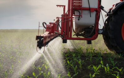 Charte de l’environnement : le juge judiciaire est compétent, à certaines conditions, pour statuer sur une demande de réparation du préjudice écologique causé par une activité autorisée (AMM) par l’administration (Cour de cassation, 13 novembre 2025, n°500 FS-B)