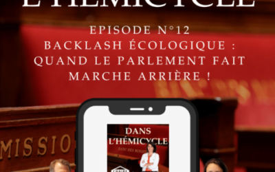 « Backlash écologique : quand le Parlement fait marche arrière ». La députée Sandrine Le Feur et l&rsquo;avocat Arnaud Gossement invités du podcast « Dans l&rsquo;hémicycle » présenté par la journaliste Bérengère Bonte