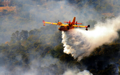 Incendies : le Gouvernement propose de supprimer l’obligation d’évaluation environnementale et de saisine de la commission nationale du débat public pour l’élaboration du prochain Programme National de la Forêt et du Bois (PNFB)