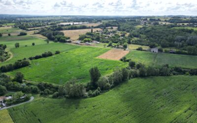 Bidoversité : publication du décret n°2026-829 du 28 août 2026 relatif au régime unique de la haie