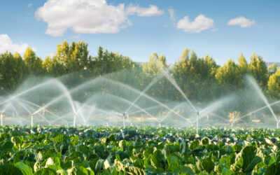 Restriction des usages de l’eau : rejet en référé d’une demande de suspension d’un arrêté sécheresse (tribunal administratif de Nice, ref., 25 août 2026, n°2605774)